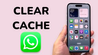 How To Clear WhatsApp Cache On iPhone?
