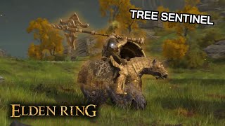 How to DEFEAT the TREE SENTINEL in Elden Ring
