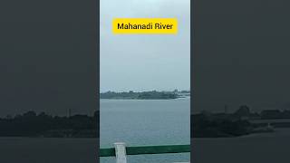 Mahanadi River | Biggest River of Odisha 🌊 #shorts #river #shortvideo #ytshorts #biggest #longest...