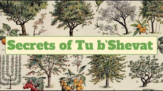 Secrets of Tu b'Shevat