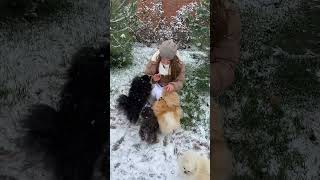 Cute girl enjoys spending time with puppies in the snow #puppy