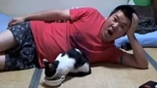 【金バエ】　猫ひろってきた　【ニコ生】