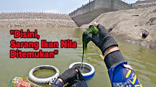 SAMPE KUWALAHAN‼️PANEN IKAN NILA DIDEKAT PINTU AIR BENDUNGAN‼️MANCING IKAN NILA - MANCING MANIA