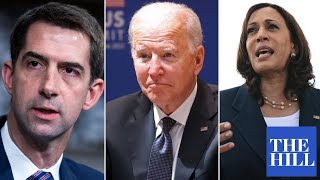 Tom Cotton GOES OFF on Biden, Kamala Harris over southern border crisis