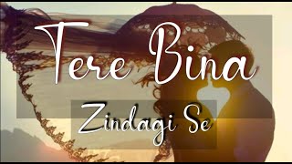 Tere Bina Zindegi Se|Kishore Kumar|Lata Mangeshkar|Sanam|Aniruddha|New hindi song