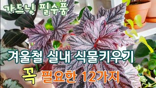 #겨울철#실내 식물키우기 필요한 12가지 (필수템\u0026있으면 좋은것들)