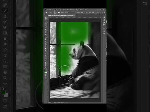 How to Colorize a Black and White Photo in Photoshop | Photoshop Tutorial