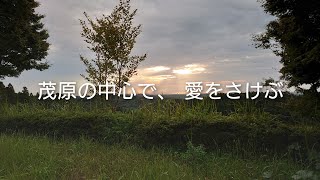 【千葉県 茂原市】茂原市の中心が決まりました！『茂原の中心で愛をさけぶ』