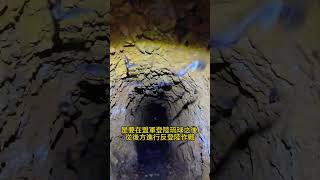 鼻仔頭坑道位於宜蘭縣員山鄉 #雨林老爬