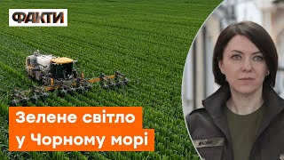 🌾 Ця угода НЕОБХІДНА нашій економіці! Маляр про плюси договору про зерновий коридор України