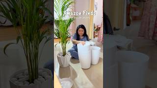 Ghor hojaboloi indoor plants r bostu keitaman kinilu☘️ Amazon Finds #ytshorts #ashortaday