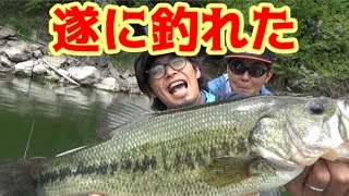 遂にあの男にもデカバスが！！芹川ダム最終回！！【Bass Fishing】