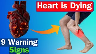 Nine sneaky warning signs which your heart gives before dying. #heartdiseaseprevention