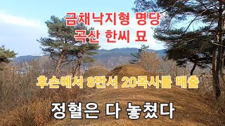 김천시 구성면 상원리 금채낙지형 명당으로 알려진 연성부원군 이말정 \u0026곡산 한씨 묘를 찾아가 봅니다