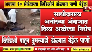 निःशब्द ! अवघ्या 10 सेकंदाच्या व्हिडिओने डोळ्यात पाणी येईल । Viral Video | HPN MARATHI NEWS