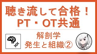 【聴き流して合格】PT・OT国家試験/解剖学　発生と組織②