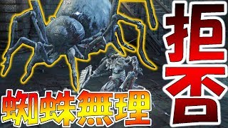 100回死んだら即終了のブラッドボーン-PART19-【Bloodborne】