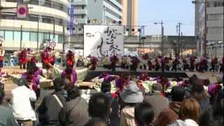 「佛教大学　紫踊屋」浜松がんこ祭2013　ヤマハ前