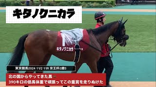 【京王杯2歳S2024】北の国からやってきた馬キタノクニカラ🐎390キロの低馬体重で頑張ってこの重賞を走りぬけた