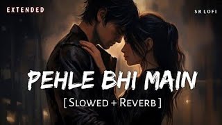 Pehle Bhi Main Extended Film Version (Slowed + Reverb) - Vishal Mishra - Animal