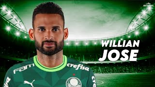 Willian José 2024 - Bem Vindo ao Palmeiras? - goals | HD