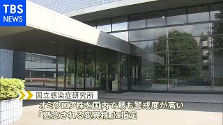 オミクロン株「懸念される変異株」に指定 厚労省