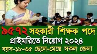 ৯৫৭২পদে🔥প্রাথমিক বিদ্যালয়ে শিক্ষক নিয়োগ ২০২৪।Primary School Job Circular 2024।DPE Job Circular 2024