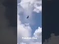 Freedom Dive...