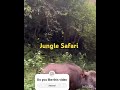 കാട്ടുപോത്ത് കോതമംഗലം ksrtc jungle safari tour safiyateacheronline