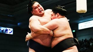 Haru Basho 2024 Day 4 Terunofuji vs Meisei