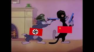 WW2 but it's Tom and Jerry