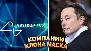 Сколько компаний у Илона Маска?