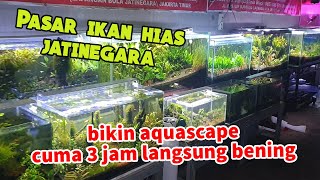 PASAR IKAN HIAS JATINEGARA | TIPS GAMPANG BUAT AQUASCAPE DARI KANCA SERASI AQUARIUM