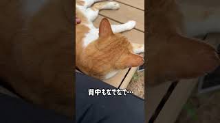 【今日のコタ】急にご機嫌ななめ de 豹変⁉︎