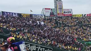 2018.6.10 T-M 甲子園スタメン発表