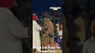 आकेले काफी हे हम सिकंदर शेख🦁🤼Shikandar Shaikh Vs Pritpal Phagwara.?Fighting on Kusti✌️#shorts #viral