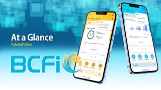 BCFI Tutorial 1 At a Glance