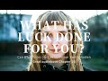 WHAT HAS LUCK DONE FOR YOU?(He Can Who Thinks He Can Chapter 16 ) by Orison Swett Marden audiobook