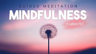 5 Minute Mindfulness Meditation - Focus & Breathe - Stay Present In The Moment.