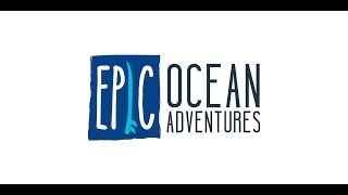 Live an epic adventure Noosa - amazing surf lessons, spectacular tours