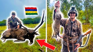 Je Pars Chasser le Cerf et le Petit Gibier à lÎle Maurice !