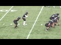 Johns Hopkins Football Offensive Highlights