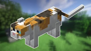 【Minecraft】 我的世界冷知识，关于猫的所有知识！老玩家必修课。