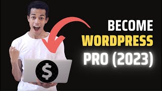 CMS Basics: WordPress 101 and Customization Guide (2023)