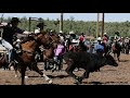 arizona tourism feature nira college rodeo