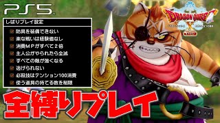 【ドラクエ10オフライン】全縛りボス攻略「キャット・リベリオ」【ドラゴンクエストX 目覚めし五つの種族】(PS5)