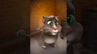 My Talking Tom 242