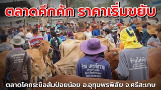 ราคาวัวล่าสุดวันนี้‼️ตลาดโคกระบือส้มป่อยน้อย อุทุมพรพิสัย ศรีสะเกษ | กลับบ้านมาเที่ยวตลาดวัวครั้งแรก