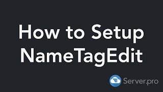 How to Setup NameTagEdit - Minecraft Java