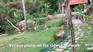 Sunrise Resort Phu Quoc, Vietnam review